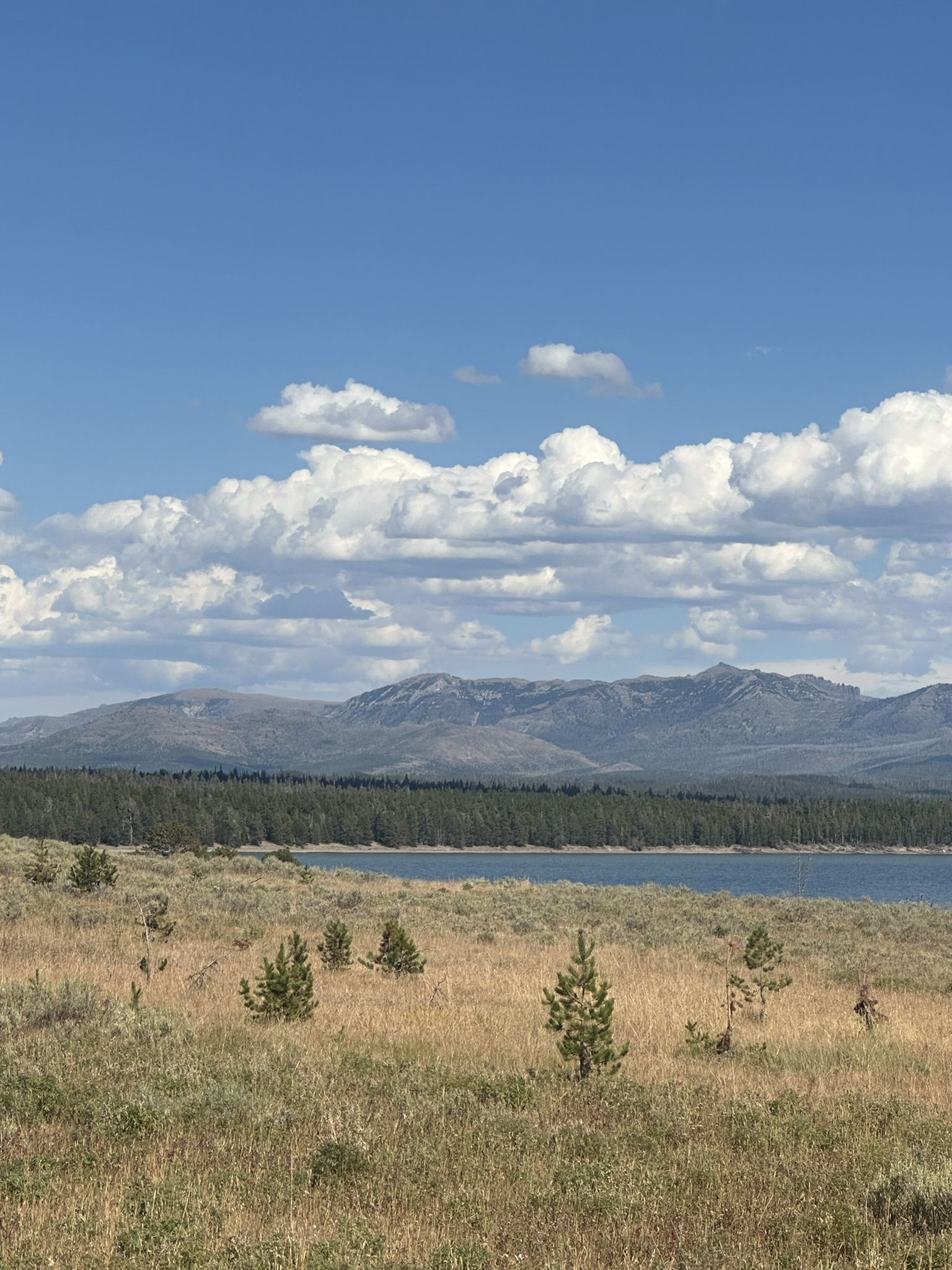 Yellowstone And Grand Teton National Parks - Image 1449